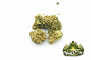 Amnesia Haze