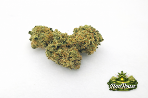 G13 Haze