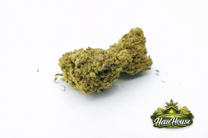 Kush Bomb