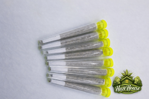 G13 PURE HAZE JOINT 10 STUKS