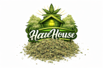 Lil Budz/Gruis 100